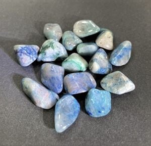 ڻĤ鷺ۥ󥿥९ȥꥫߥ˥᤭С1γ