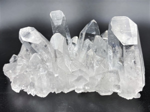 �������󥽡����徽���饹��������236g��Ź��Ʊ�������ʡ�