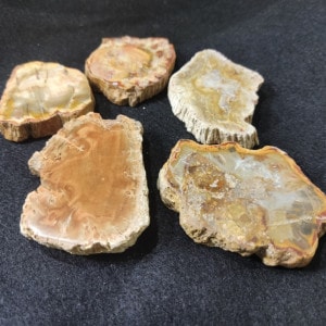 �����٤롪�۷����ڡ����饤����1���᤭���ߥ˥ץ졼��