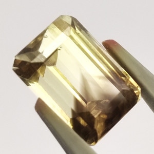 Х顼󥯥(եȥ)åȥ롼9.3ct1ʪ