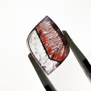 ѡ֥(ꡪ)ե꡼åȡŷХ롼6.4ct