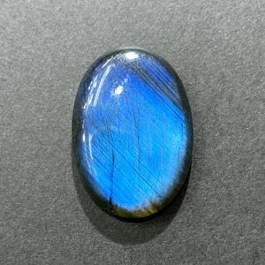 ֥롼֥ɥ饤ȡܥ롼Х롡9.1g