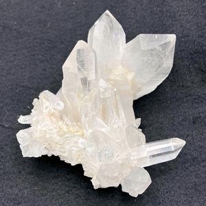 ޥ˥󻺿徽饹212硡