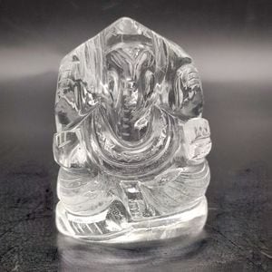 �ݿ����͡����㡡�ҥޥ��徽 124.9g