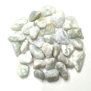 �����ƥޥ黺�ǿ�(��������)���᤭�С�1����ꡡ��g��