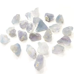 �˥塼�ᥭ�������ե����饤�ȡ����С�����������1γ���