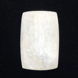 ���������ʥȥ��饤�ȡ����ܥ����롼�����쥯���󥰥롡��33ct��1��ʪ