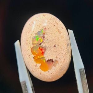 ����ƥ饪�ѡ��롡���ܥ����롼����11.6ct��1��ʪ��C