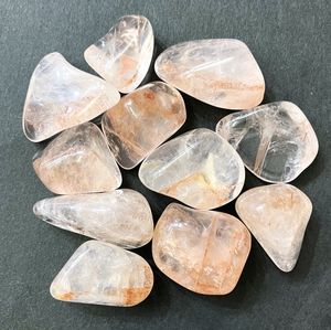�����ò����ۥإޥ����ȥ��󥯥�����(�����)���᤭�С�1γ���