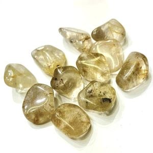 �����ò����ۥ���륯�����ġ��᤭�С�����֥롡1�����