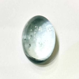 �ʥ�����֥롼�ȥѡ��� ��14mm ���ܥ����롼�� 1��ʪ