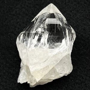 ���͡�����ҥޡ��뻺 �徽�ڥ��͡�����������Ȥ���뻳�ۡ��ҥޥ��徽 27.9g