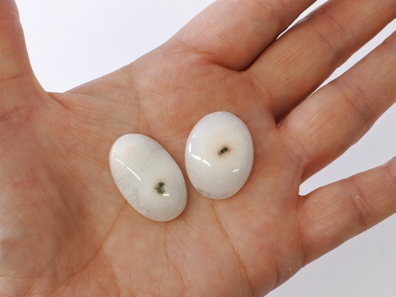 �ڥ饹��1�����Ͳ����ۥ쥤��ܡ��������ġ��쥤��ܡ��徽��ŷ���Х롼��