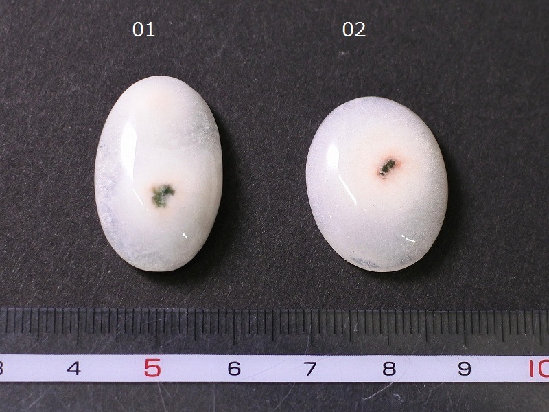 �ڥ饹��1�����Ͳ����ۥ쥤��ܡ��������ġ��쥤��ܡ��徽��ŷ���Х롼��