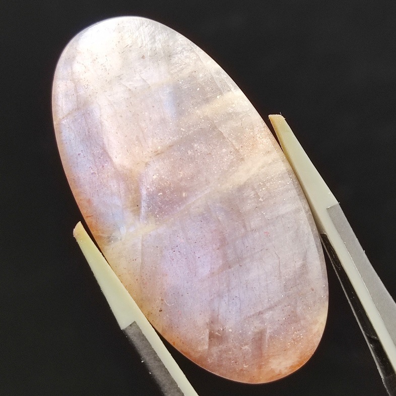 ���ʡ�����ࡼ�󥹥ȡ���롼����38.9ct��1��ʪ