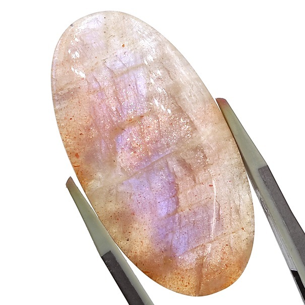 ���ʡ�����ࡼ�󥹥ȡ���롼����38.9ct��1��ʪ