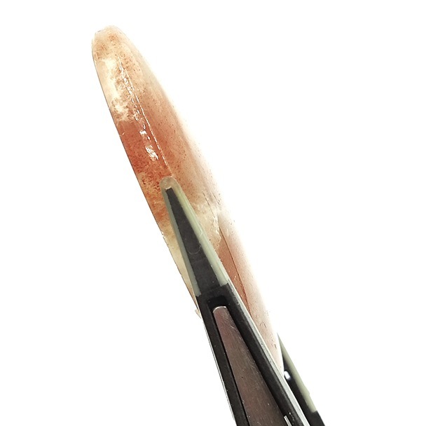 ���ʡ�����ࡼ�󥹥ȡ���롼����38.9ct��1��ʪ