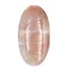 ���ʡ�����ࡼ�󥹥ȡ���롼����38.9ct��1��ʪ