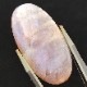 ���ʡ�����ࡼ�󥹥ȡ���롼����38.9ct��1��ʪ