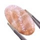 ���ʡ�����ࡼ�󥹥ȡ���롼����38.9ct��1��ʪ