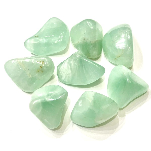 ���եꥫ���ץ�ʥ��ȡ��᤭�С��礭����������1����ꡡ8.5g��