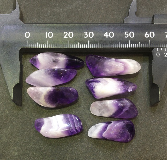 ����͵��ʤΤ��ɲá��ۥ����ץ��᥷���ȡ��᤭�С�1γ���