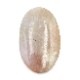 ����ࡼ�󥹥ȡ��󡡡��롼����36.4ct��1��ʪ