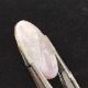 ����ࡼ�󥹥ȡ��󡡡��롼����36.4ct��1��ʪ