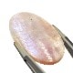 ����ࡼ�󥹥ȡ��󡡡��롼����36.4ct��1��ʪ