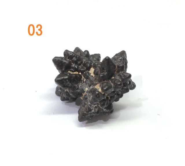 �ڥ쥢���ۥ��åȥ��ȡ���(�ץ��ե��������ȡ���)�����С����٤륻�쥯�ȡ�1��ʪ