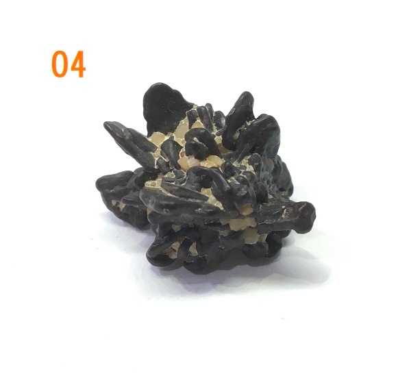 �ڥ쥢���ۥ��åȥ��ȡ���(�ץ��ե��������ȡ���)�����С����٤륻�쥯�ȡ�1��ʪ