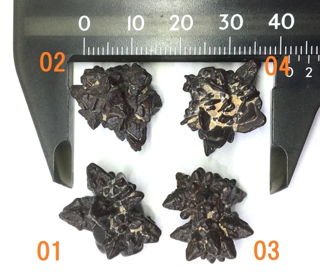 �ڥ쥢���ۥ��åȥ��ȡ���(�ץ��ե��������ȡ���)�����С����٤륻�쥯�ȡ�1��ʪ