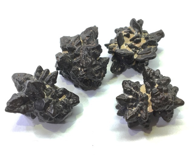 �ڥ쥢���ۥ��åȥ��ȡ���(�ץ��ե��������ȡ���)�����С����٤륻�쥯�ȡ�1��ʪ