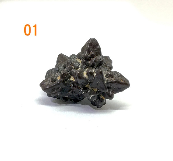 �ڥ쥢���ۥ��åȥ��ȡ���(�ץ��ե��������ȡ���)�����С����٤륻�쥯�ȡ�1��ʪ