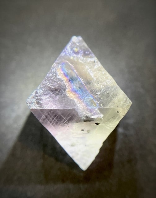 �ե����饤�ȡ� ����Υ�����Ȭ���Ρ�10.1��