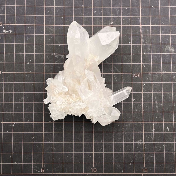 �ޥ˥���󻺿徽���饹��������212�硡