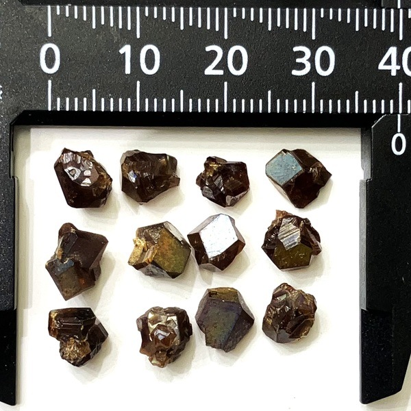 �����ò��������ɸ����쥤��ܡ������ͥåȡ��ߥ˸��С�1γ���