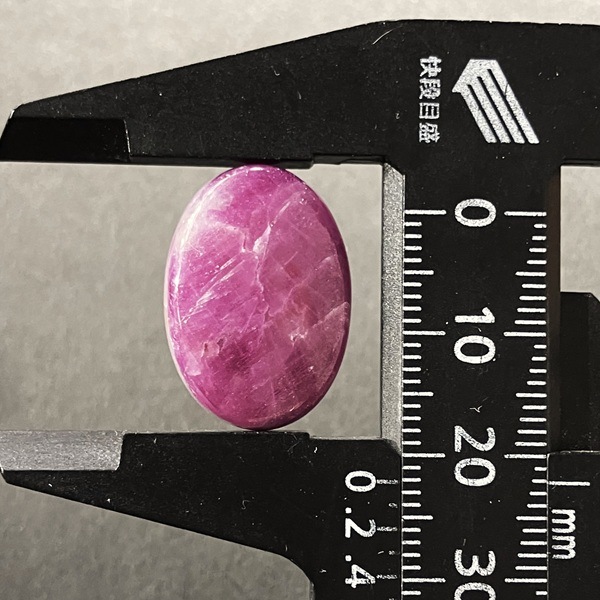 ��ӡ������ܥ����롼����23.9ct��1��ʪ