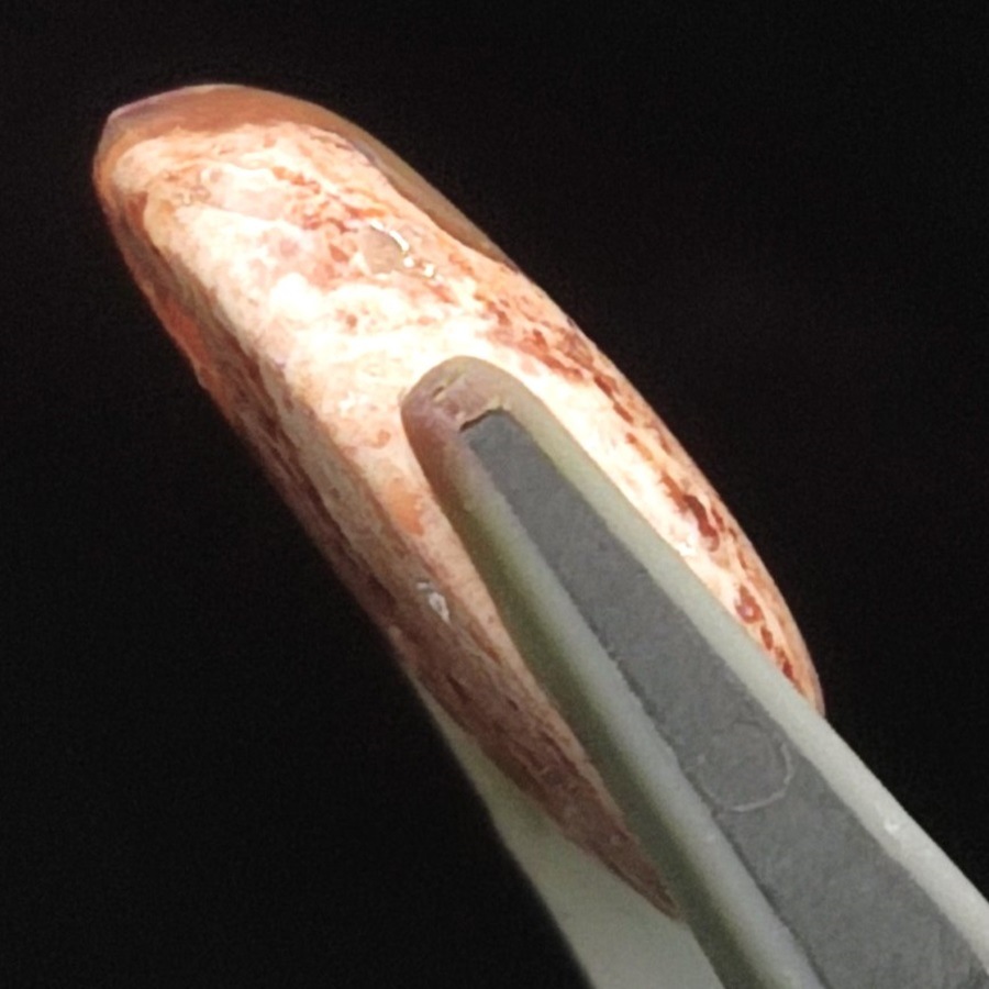 ����ƥ饪�ѡ��롡���ܥ����롼����5.4ct��1��ʪ