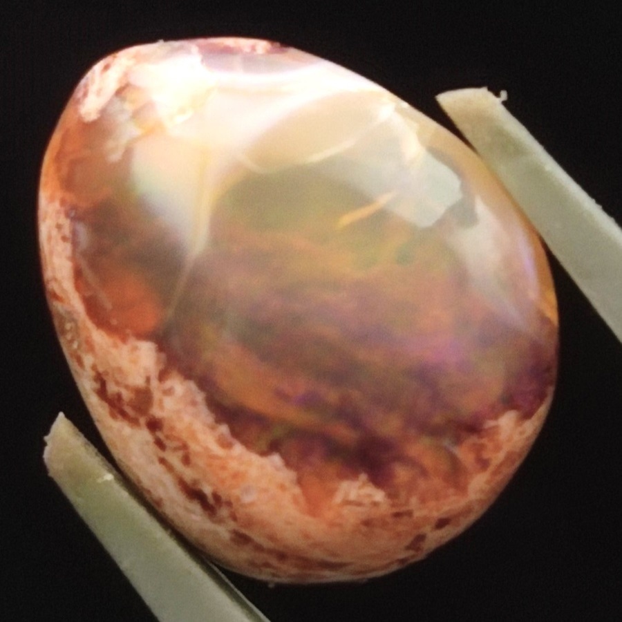 ����ƥ饪�ѡ��롡���ܥ����롼����5.4ct��1��ʪ