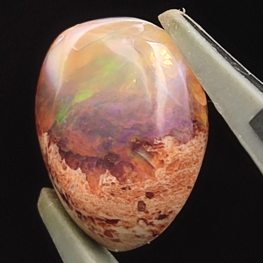 ����ƥ饪�ѡ��롡���ܥ����롼����5.4ct��1��ʪ