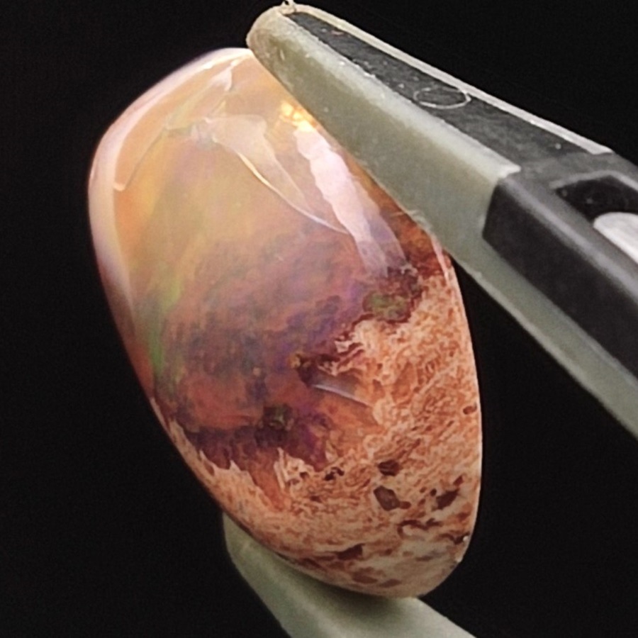 ����ƥ饪�ѡ��롡���ܥ����롼����5.4ct��1��ʪ