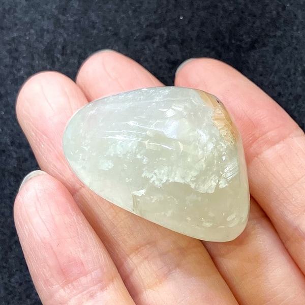 ���꡼�󥢥ݥե��饤���᤭������֥롡��3.3cm��1��ʪ