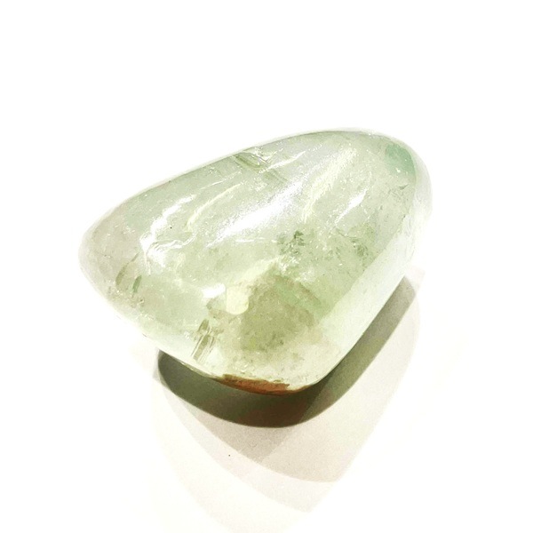 ���꡼�󥢥ݥե��饤���᤭������֥롡��3.3cm��1��ʪ