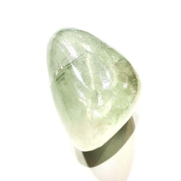 ���꡼�󥢥ݥե��饤���᤭������֥롡��3.3cm��1��ʪ