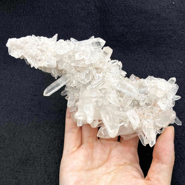 �ޥ˥���󻺿徽���饹��������248�硡