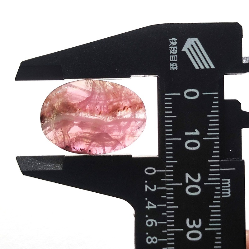 ���Х�ȥ��륵���ȡ����ܥ����롼����12ct��1��ʪ