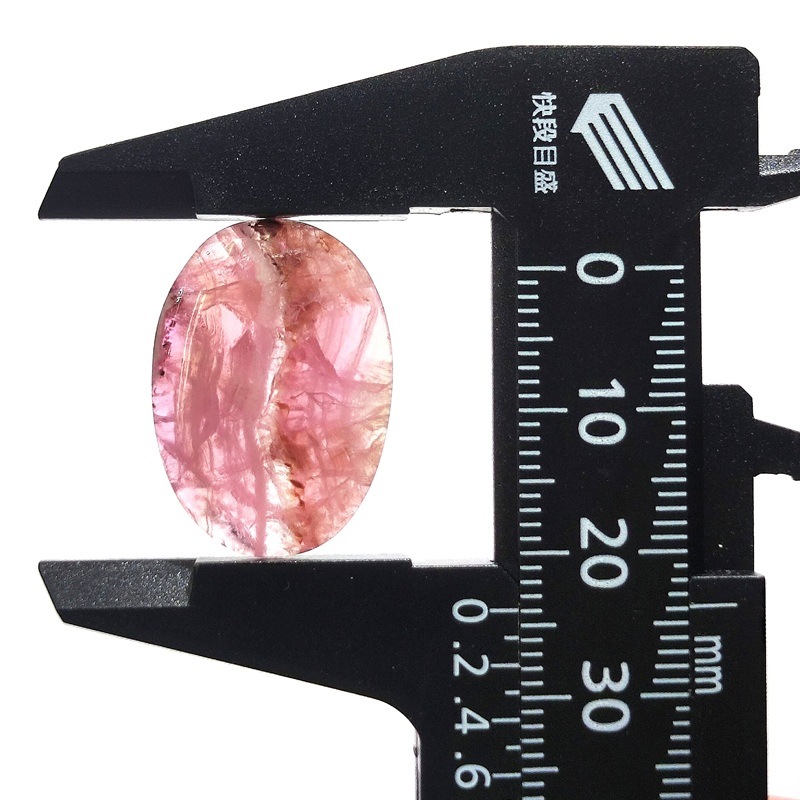 ���Х�ȥ��륵���ȡ����ܥ����롼����12ct��1��ʪ