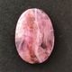 ���Х�ȥ��륵���ȡ����ܥ����롼����12ct��1��ʪ