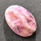 ���Х�ȥ��륵���ȡ����ܥ����롼����12ct��1��ʪ